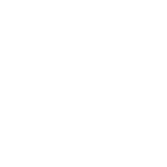 vflwolfsburg